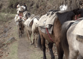Three chiwogs in Yallang Gewog turn to ropeway idea as road access remains out of reach